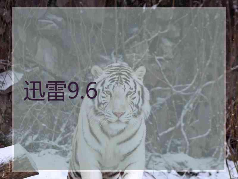 迅雷9.6