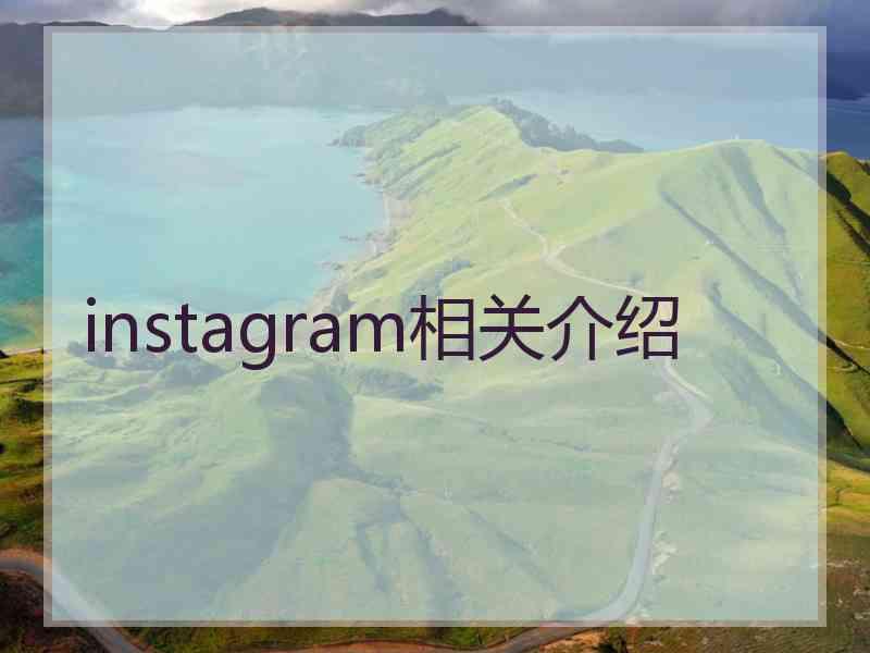 instagram相关介绍