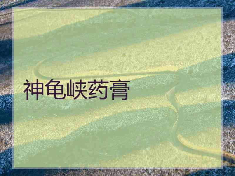 神龟峡药膏