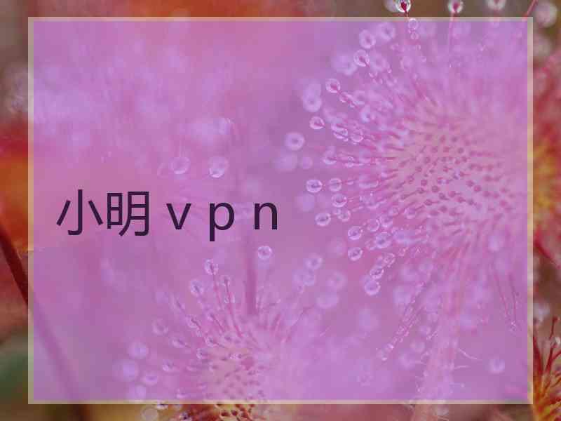 小明 v p n