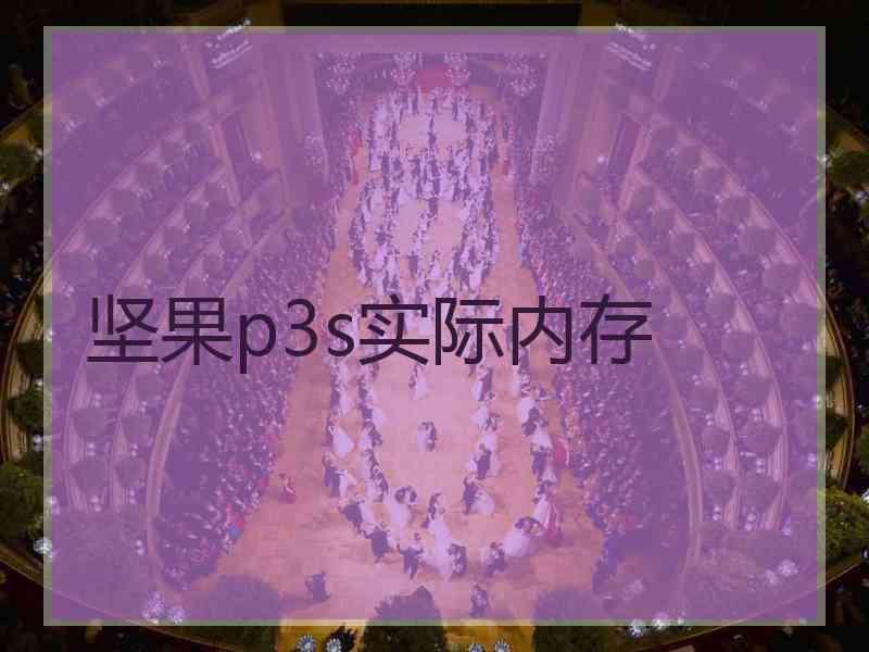 坚果p3s实际内存