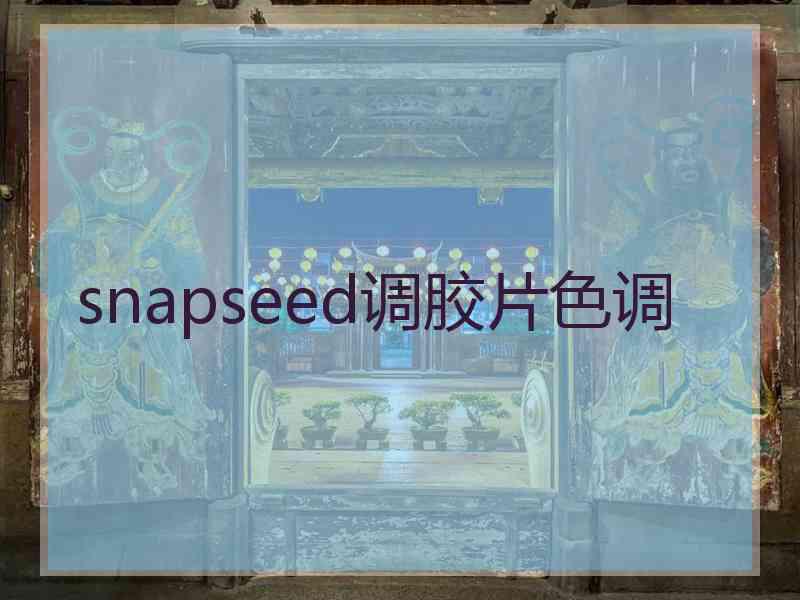 snapseed调胶片色调