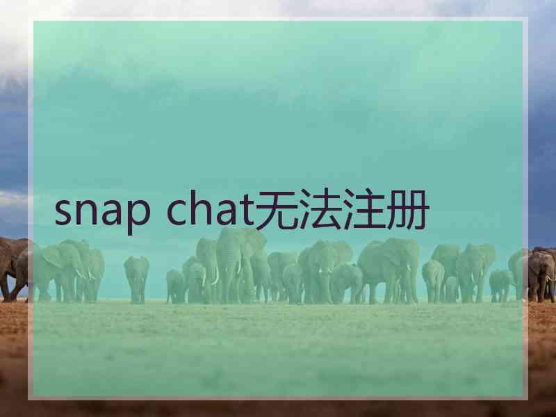 snap chat无法注册