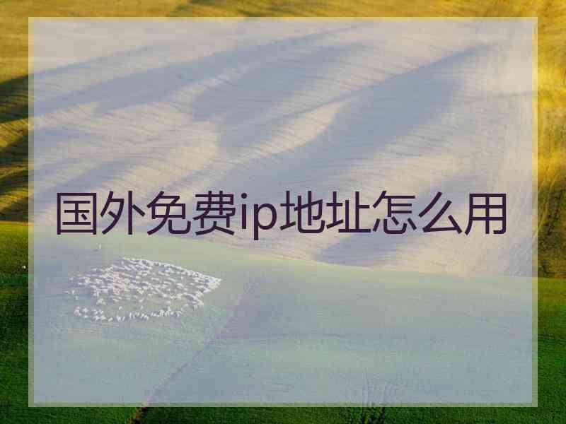 国外免费ip地址怎么用