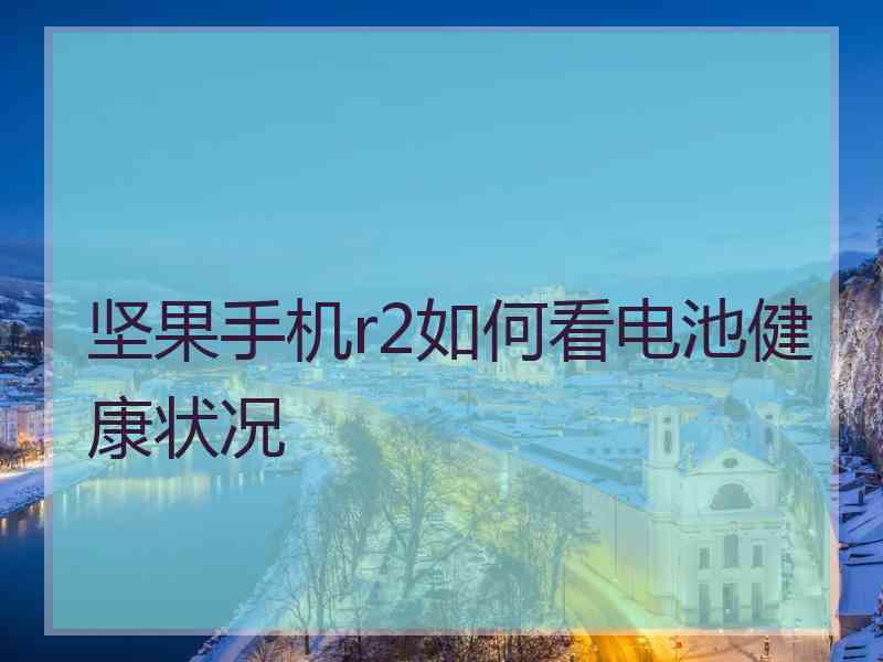 坚果手机r2如何看电池健康状况