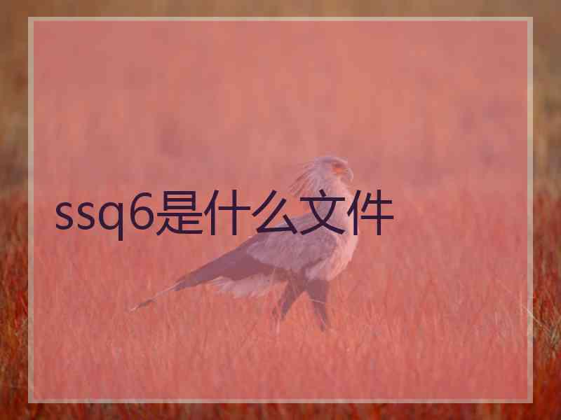 ssq6是什么文件