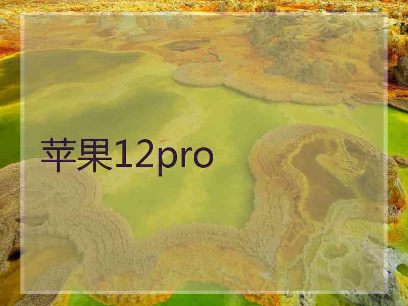苹果12pro