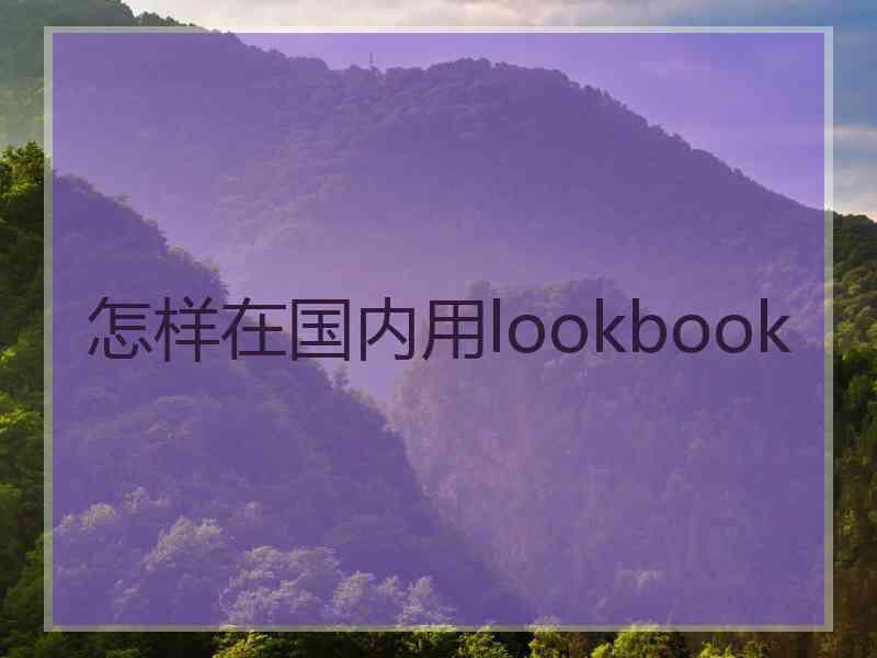 怎样在国内用lookbook