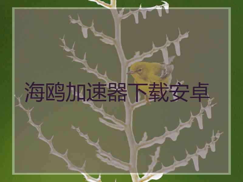 海鸥加速器下载安卓