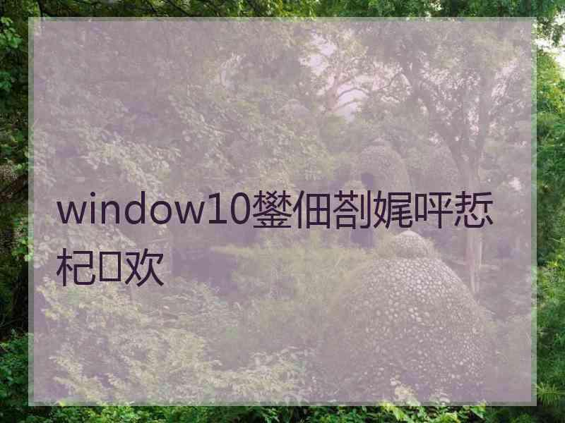 window10鐢佃剳娓呯悊杞欢