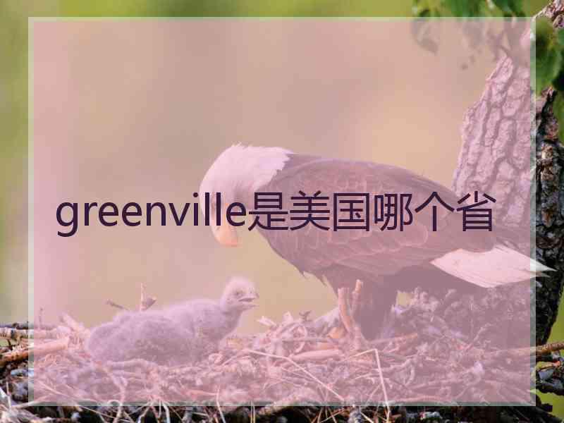 greenville是美国哪个省