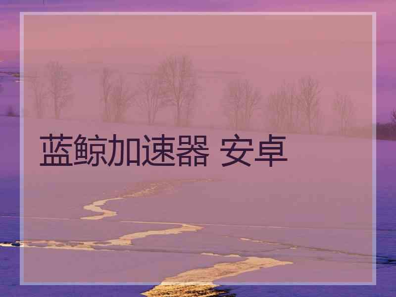 蓝鲸加速器 安卓