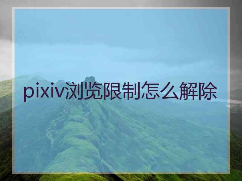 pixiv浏览限制怎么解除
