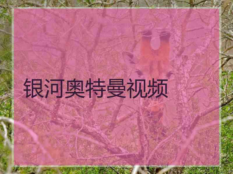 银河奥特曼视频