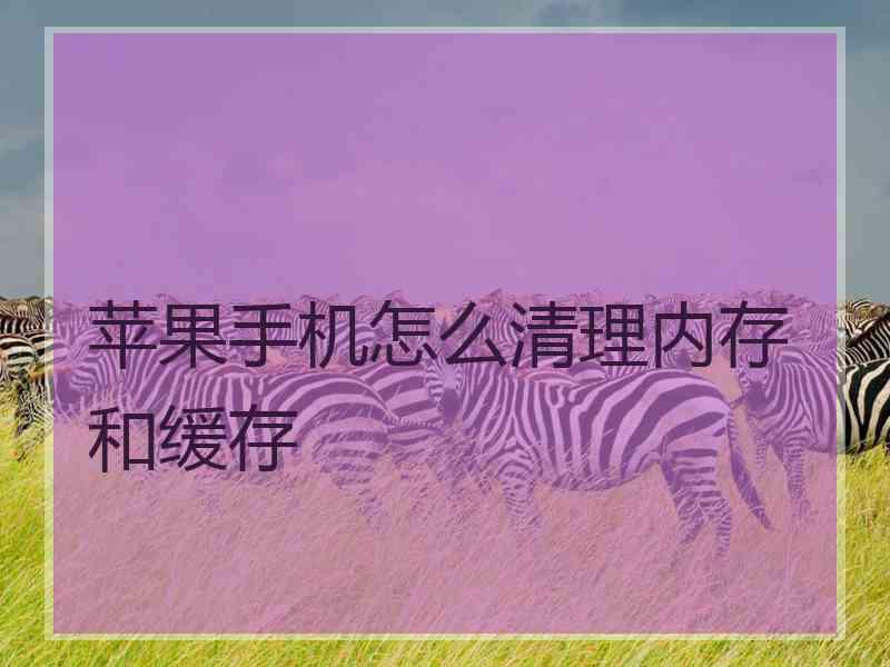 苹果手机怎么清理内存和缓存