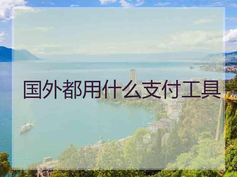 国外都用什么支付工具