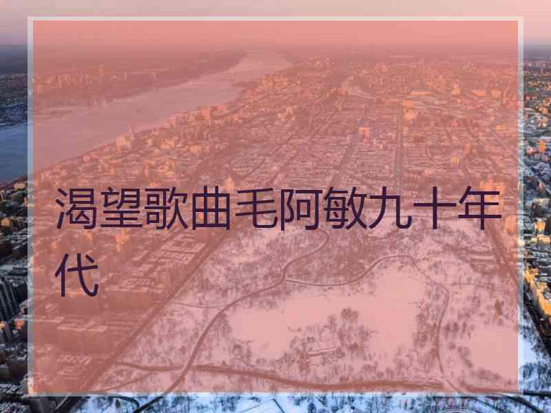 渴望歌曲毛阿敏九十年代