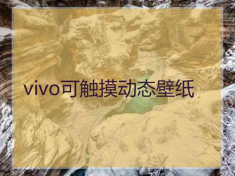 vivo可触摸动态壁纸