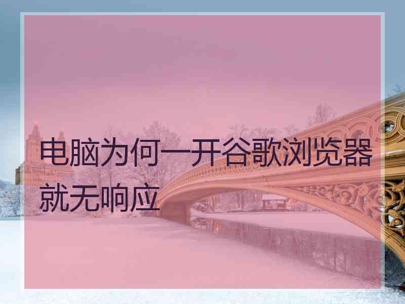 电脑为何一开谷歌浏览器就无响应