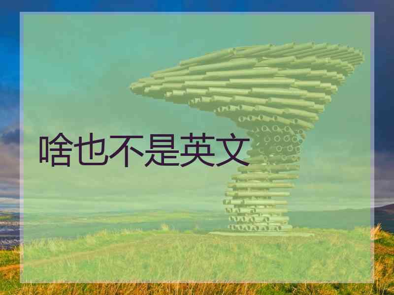啥也不是英文