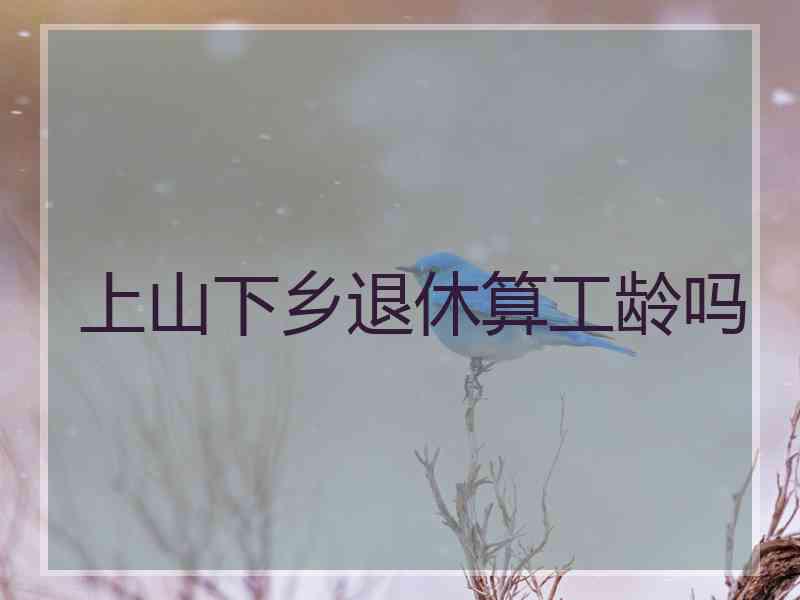 上山下乡退休算工龄吗