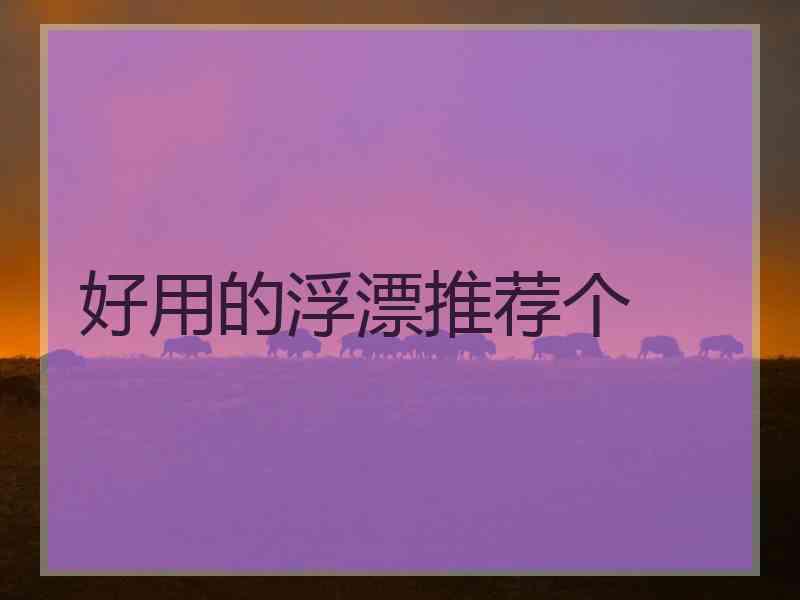 好用的浮漂推荐个