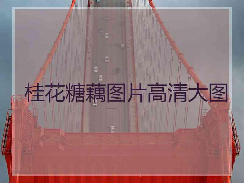桂花糖藕图片高清大图