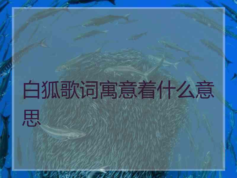 白狐歌词寓意着什么意思