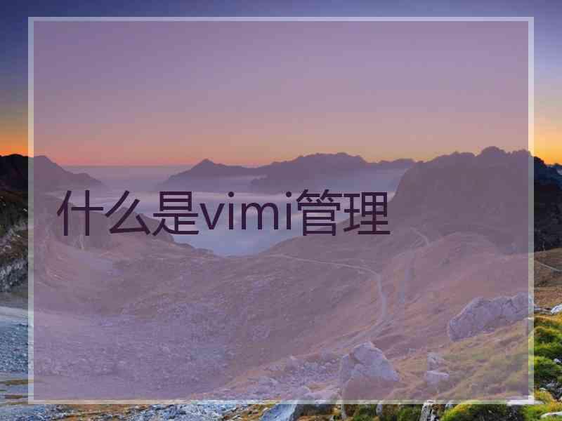 什么是vimi管理