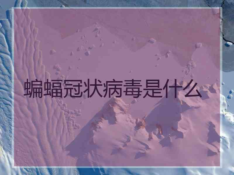 蝙蝠冠状病毒是什么