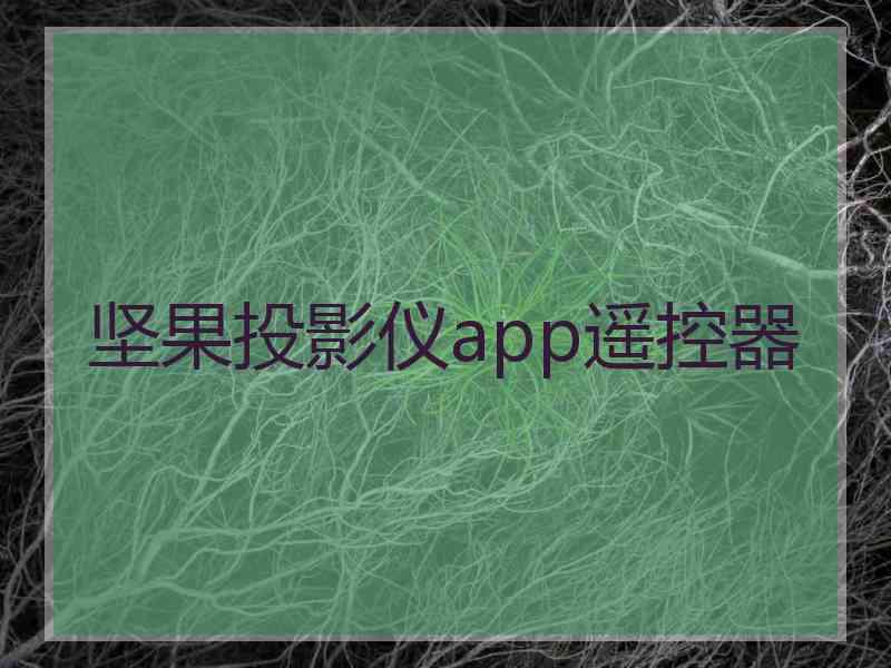 坚果投影仪app遥控器