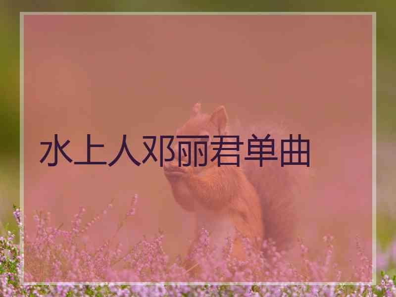 水上人邓丽君单曲
