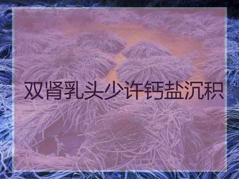 双肾乳头少许钙盐沉积