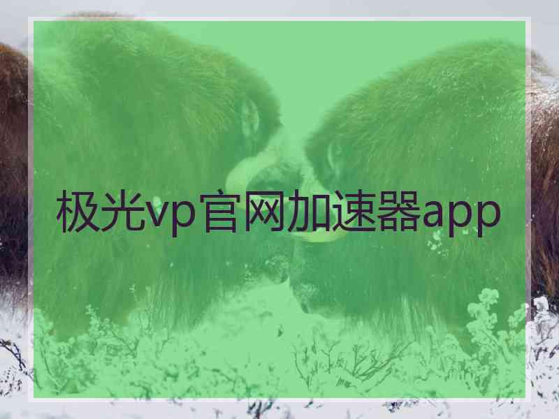 极光vp官网加速器app
