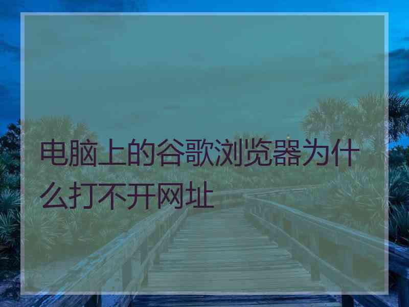 电脑上的谷歌浏览器为什么打不开网址