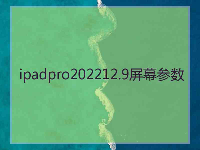 ipadpro202212.9屏幕参数