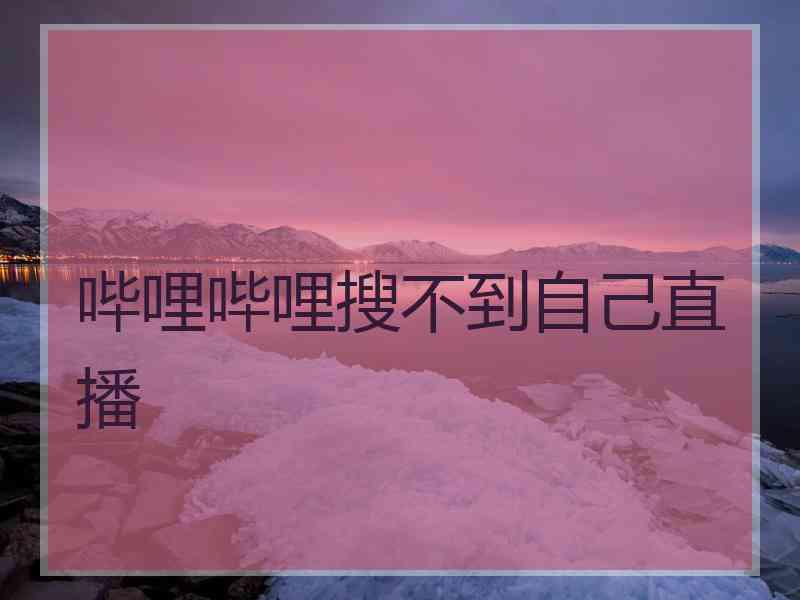 哔哩哔哩搜不到自己直播