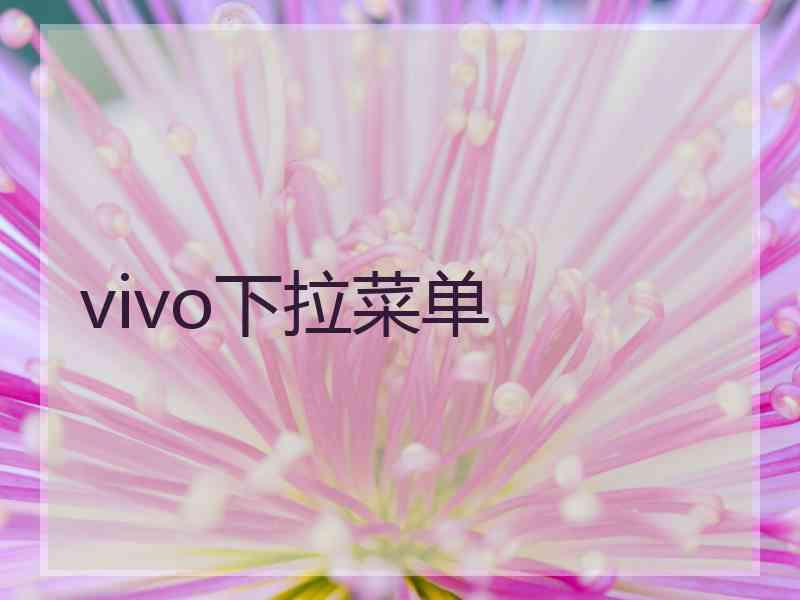 vivo下拉菜单