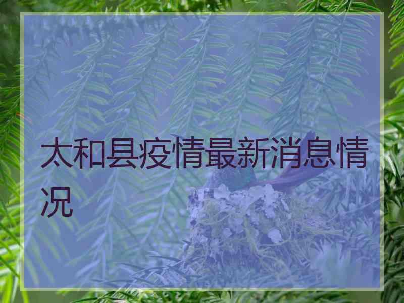 太和县疫情最新消息情况