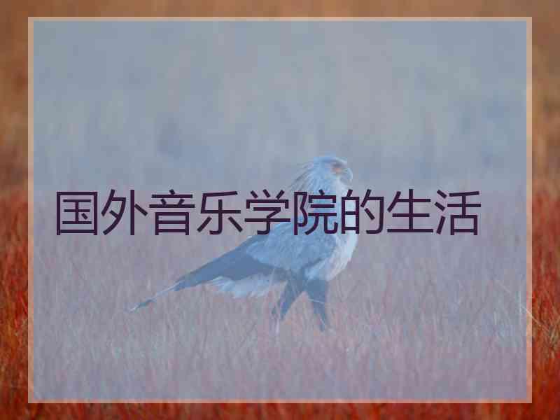 国外音乐学院的生活