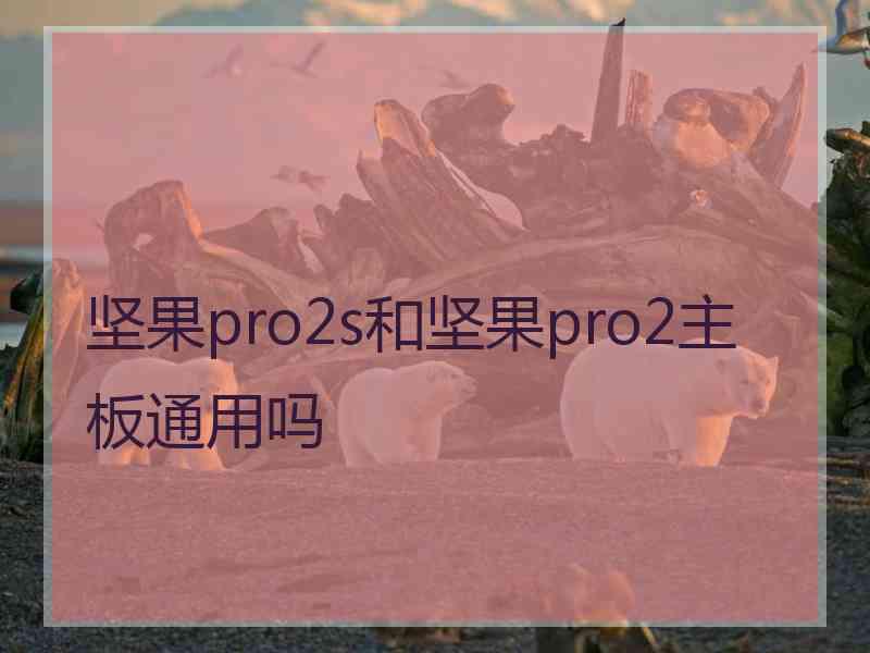 坚果pro2s和坚果pro2主板通用吗