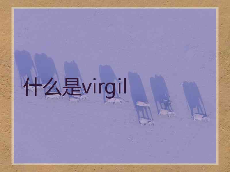什么是virgil