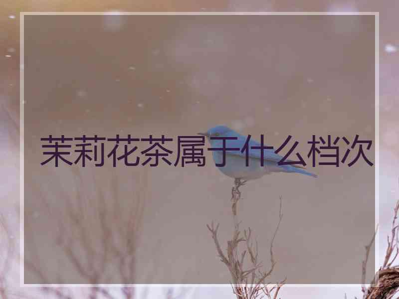 茉莉花茶属于什么档次