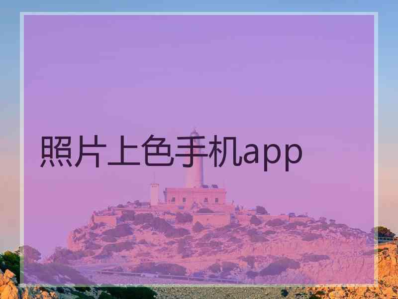 照片上色手机app