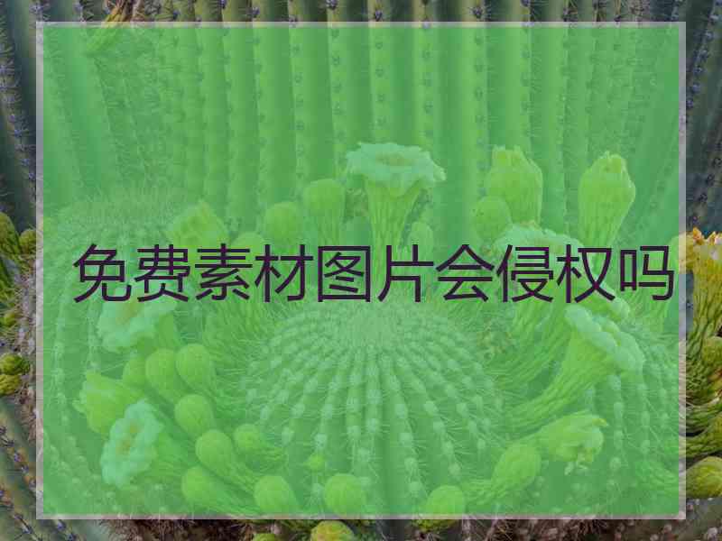 免费素材图片会侵权吗