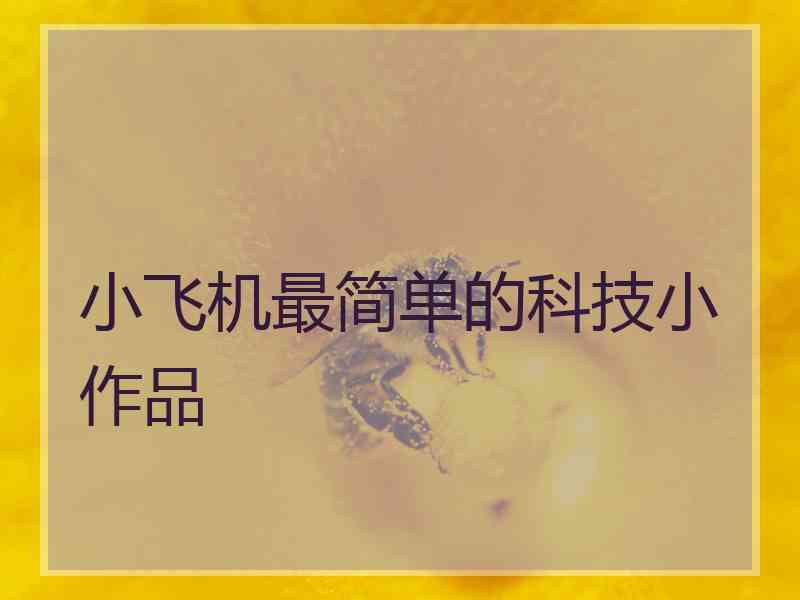 小飞机最简单的科技小作品