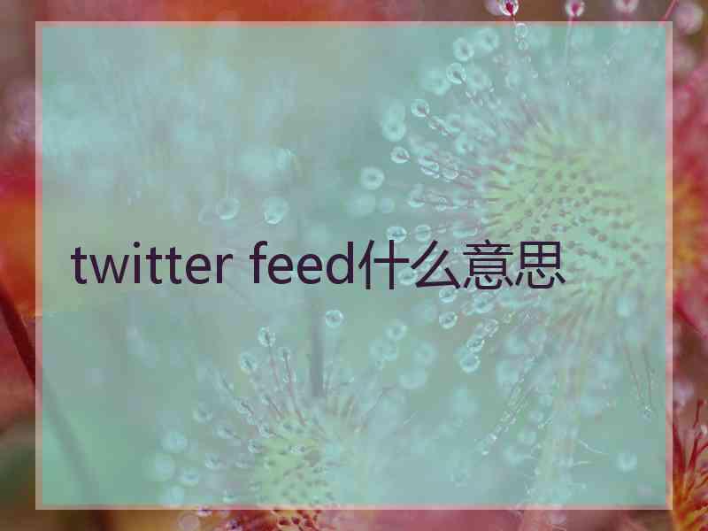 twitter feed什么意思