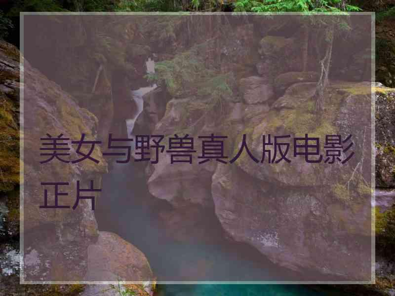 美女与野兽真人版电影正片