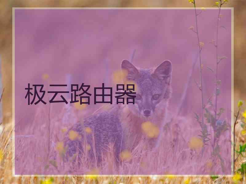 极云路由器