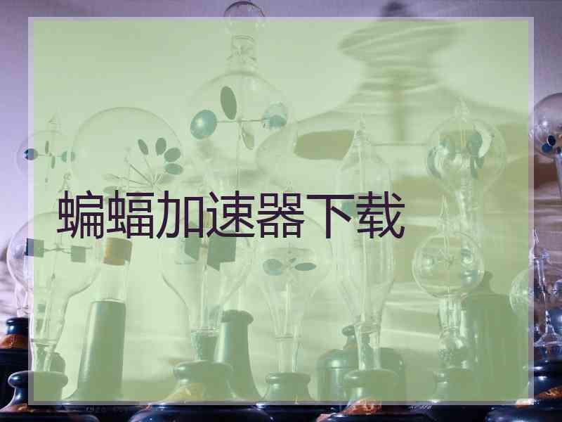 蝙蝠加速器下载